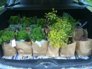 från annas telefon 1617