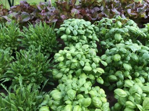 från annas telefon 314