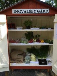 från annas telefon 551